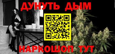 сатива Камышлов