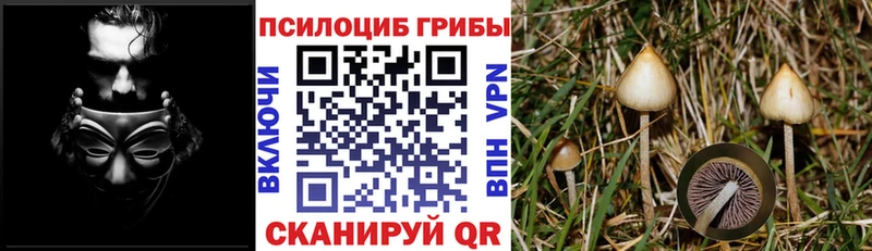 Галлюциногенные грибы GOLDEN TEACHER  купить наркотик  Усинск 