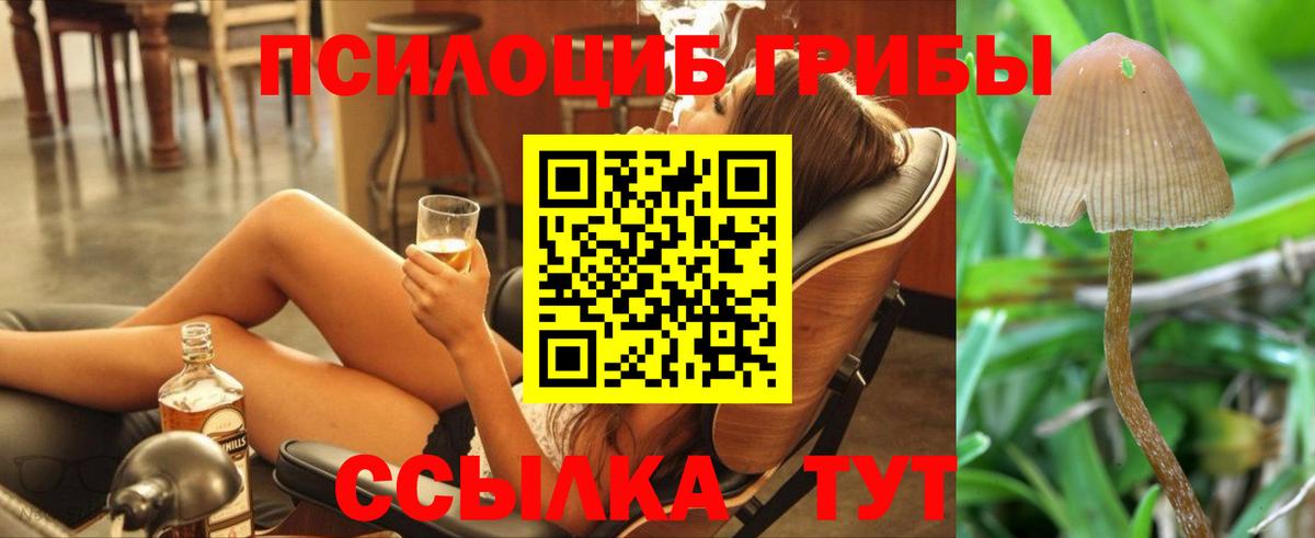 закладка  Усинск  Псилоцибиновые грибы ЛСД 