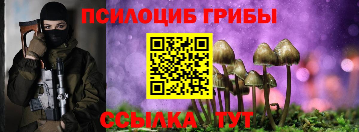 Галлюциногенные грибы Cubensis Усинск