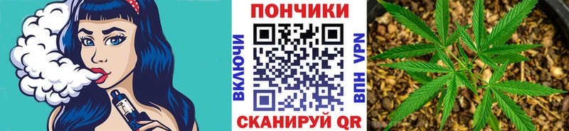 как найти   Усинск  Каннабис семена 